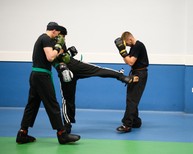 dsc_0482c.jpg