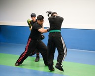 dsc_0490c.jpg